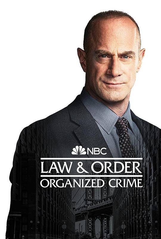 法律与秩序：组织犯罪 第三季第11集