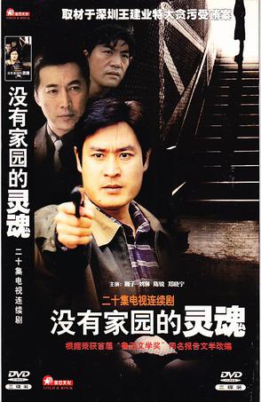 没有家园的灵魂第01集