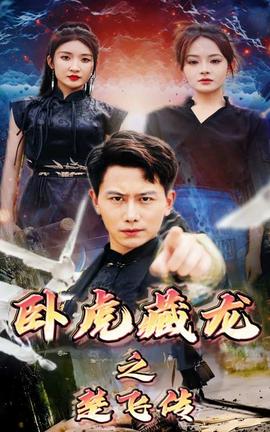 卧虎藏龙之楚飞传第21-40集