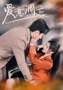 爱意凋亡第1-20集