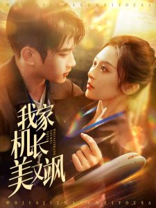 我家机长美又飒全集(大结局)