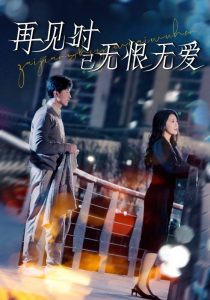 再见时已无恨无爱第21-40集