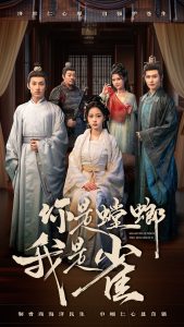 你是螳螂我是雀第21-41集(大结局)