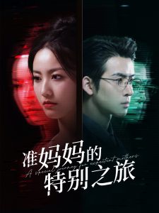 准妈妈的特别之旅第1-20集