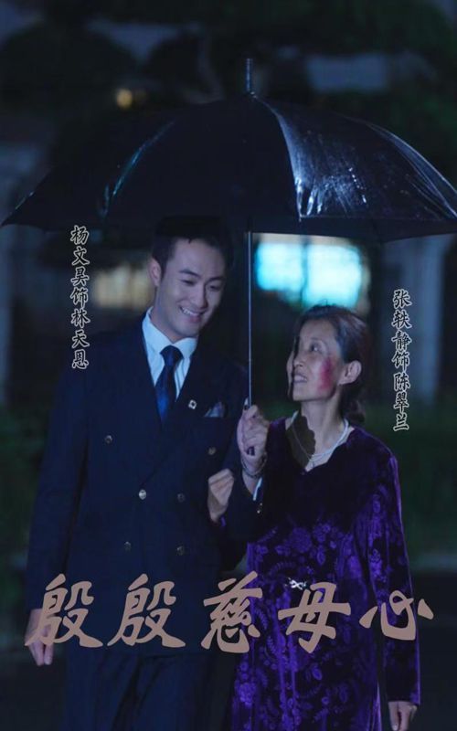 殷殷慈母心全集(大结局)