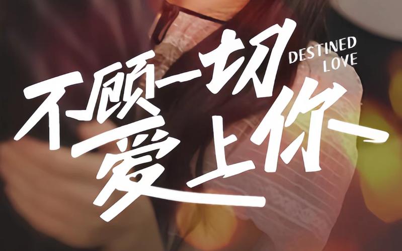 不顾一切爱上你1-20集