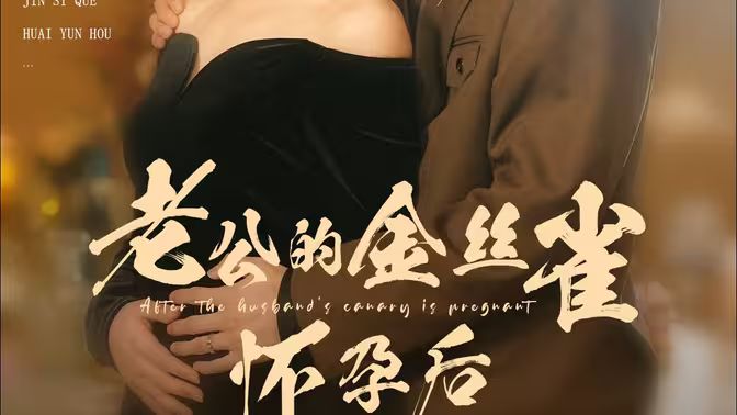 老公的金丝雀怀孕后全集(大结局)